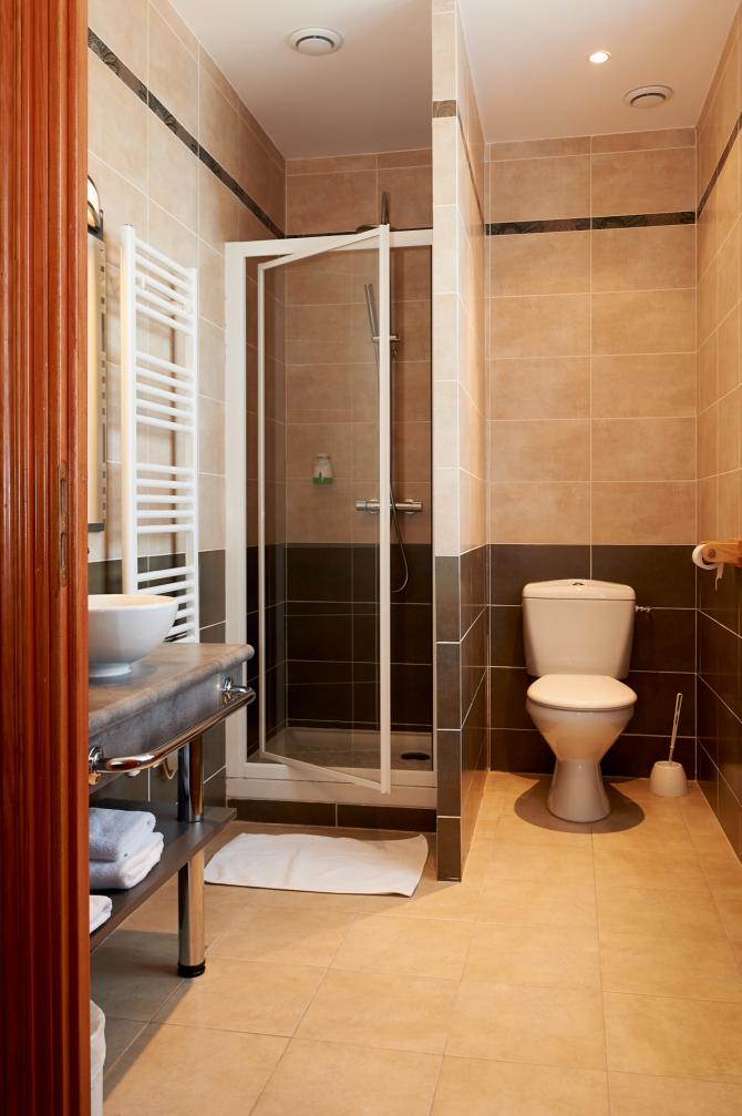 Au Relais Nivernais - Family Room - Bathroom / shower - Sanitary